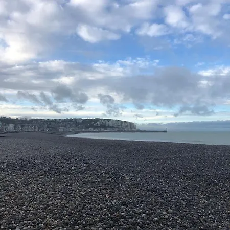 Coquelicot Industriel Le Tréport